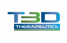T3D Logo Design